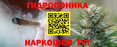 шишки Конаково