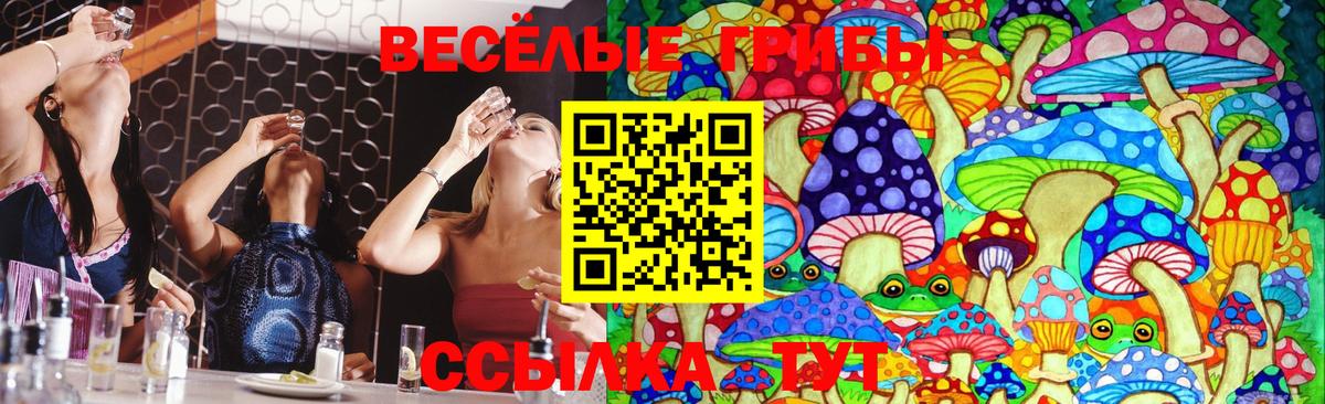 Галлюциногенные грибы мухоморы Керчь