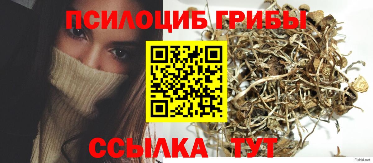 Керчь  Галлюциногенные грибы Magic Shrooms  наркотики  Псилоцибиновые грибы Psilocybe  Вход с VPN 